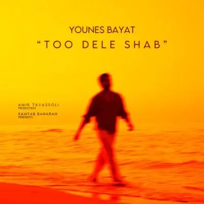Younes Bayat – Too Dele Shab Younes Bayat – Too Dele Shab