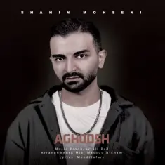 Shahin Mohseni – Aghoosh