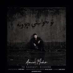 Download To Nakhasti Divoone by Amir Mehr