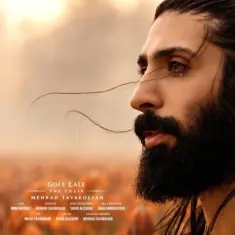 Download Gole Lale by Mehrad Tavakolian