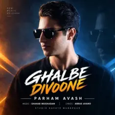 Download Ghalbe Divoone by Parham Avash