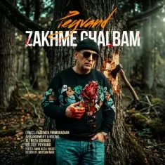 Download Zakhme Ghalbam by Peyvand