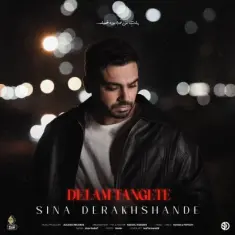 Download Delam Tangete by Sina Derakhshande