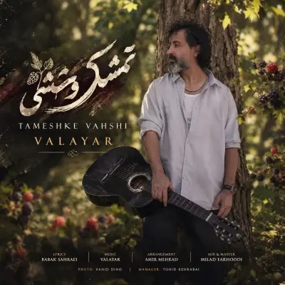 Cover art for Tameshke Vahshi by Valayar