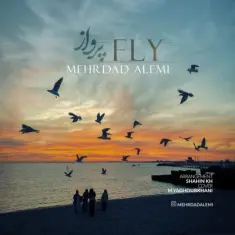 Mehrdad Alemi – Fly (Parvaz)