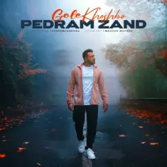 Download Gole Khoshboo by Pedram Zand