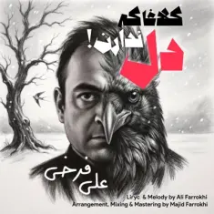 Ali Farrokhi – Kalagha Ke Del Nadaran