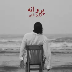 Fardin Naji – Parvane