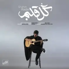 Download Gole Ghalbam by Shahin Rastin