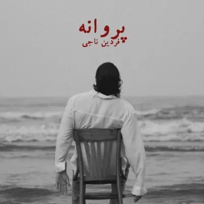 Fardin Naji – Parvane
