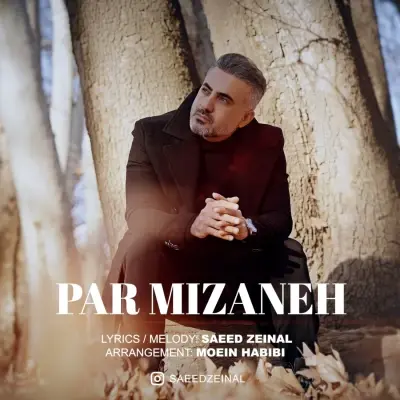 Saeed Zeinal – Par Mizaneh Saeed Zeinal – Par Mizaneh
