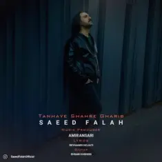 Saeed Falah – Tanhaye Shahre Gharib