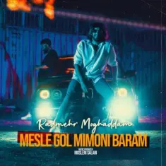 Download Mesle Gol Mimooni Baram by Radmehr Moghaddam