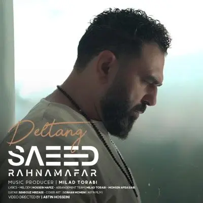 Saeed Rahnamafar – Deltang Saeed Rahnamafar – Deltang