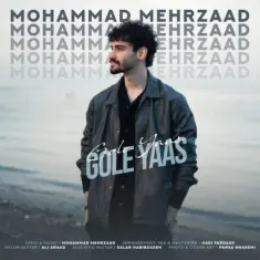 Download Gole Yaas by Mohammad Mehrzaad