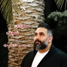 Download Molaye Najaf by Seyed Mehdi Hamzeh