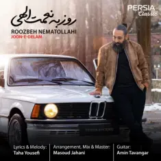 Roozbeh Nematollahi – Joone Delam
