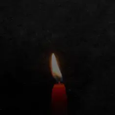 Arman Garshasbi – Koja Gorizam