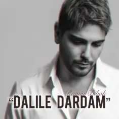 Ramin Bibak – Dalile Dardam