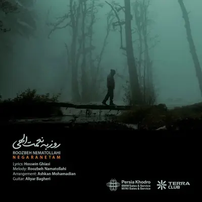 Roozbeh Nematollahi – Negaranetam