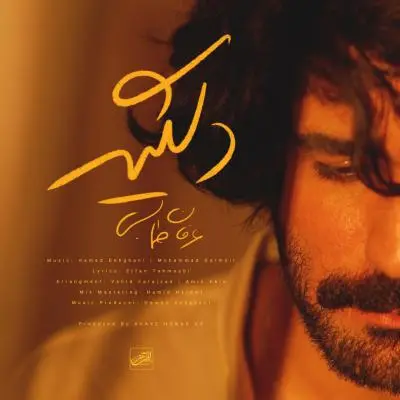 Erfan Tahmasbi – Delgir