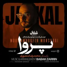 Mohammadreza Mansouri – Parva (Shoghal)