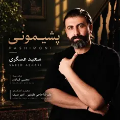 Download Pashimoni by Saeed Asgari