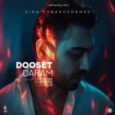 Download Dooset Daram by Sina Derakhshande