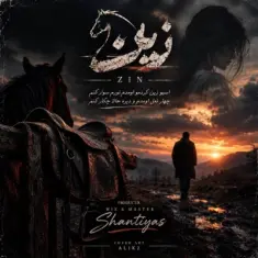 Sina Parsian – Zin