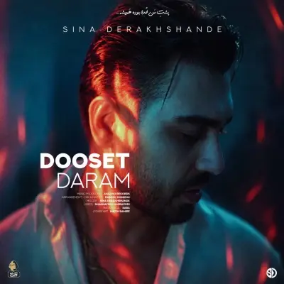 Cover art for Dooset Daram by Sina Derakhshande